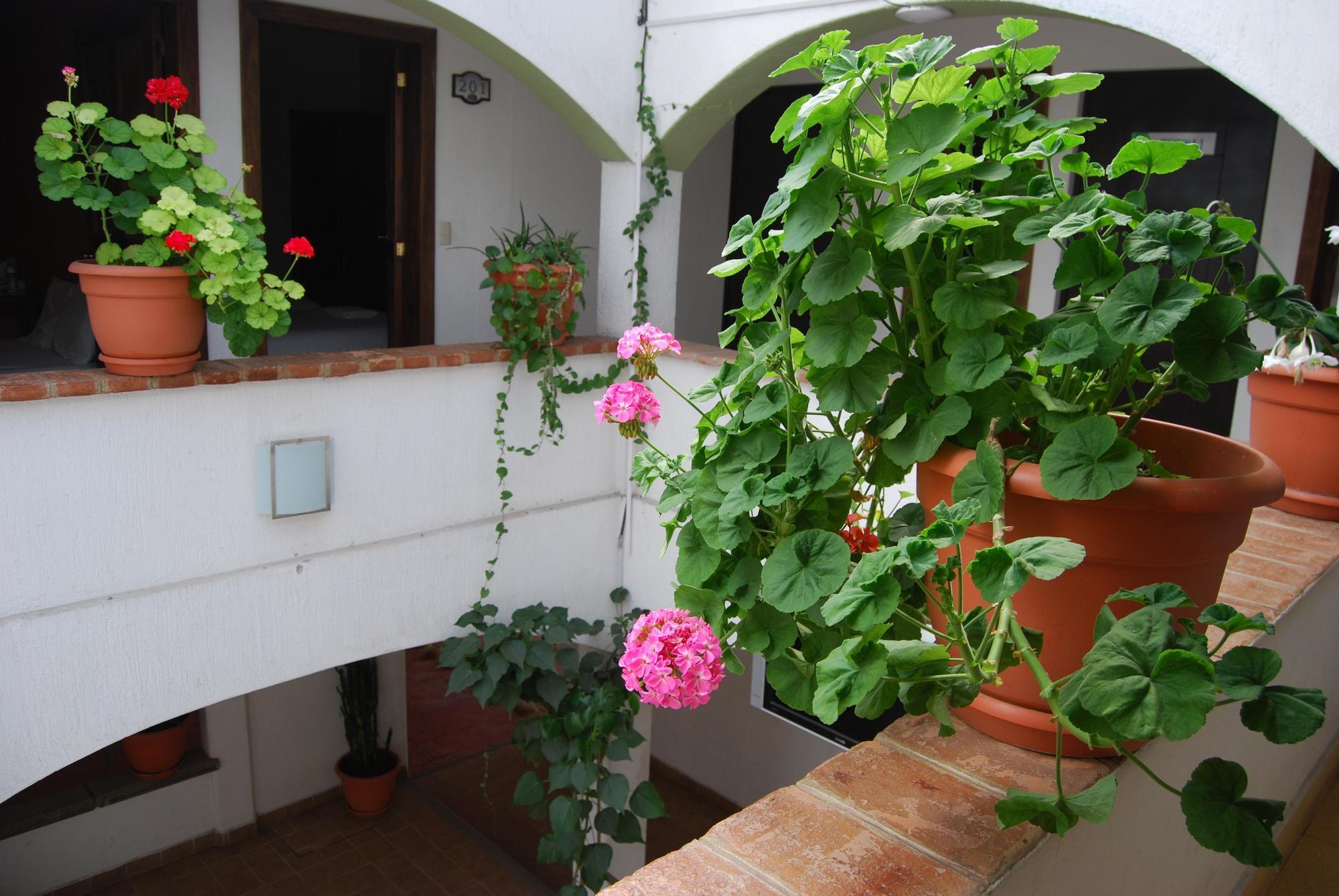 Jardines De Luz Hotel San Cristóbal de Las Casas Екстериор снимка